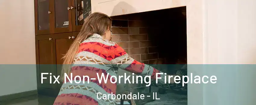  Fix Non-Working Fireplace Carbondale - IL