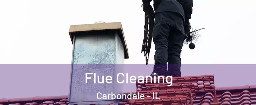  Flue Cleaning Carbondale - IL