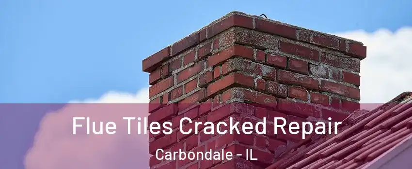  Flue Tiles Cracked Repair Carbondale - IL