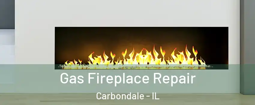  Gas Fireplace Repair Carbondale - IL