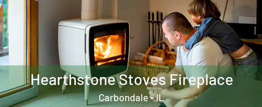  Hearthstone Stoves Fireplace Carbondale - IL