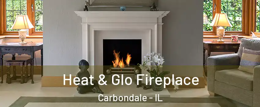  Heat & Glo Fireplace Carbondale - IL