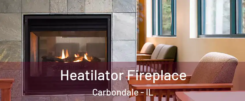  Heatilator Fireplace Carbondale - IL