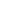 Professional Chimney Flue Installation in Carbondale, Illinois