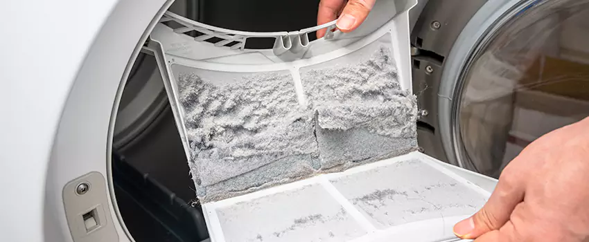 Best Dryer Lint Removal Company in Carbondale, Illinois