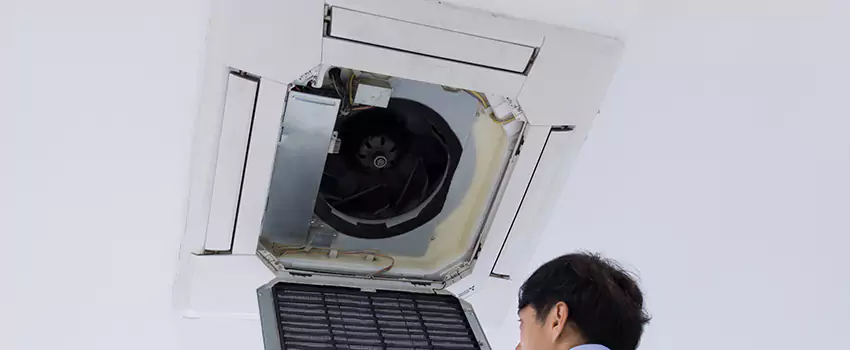 Benefits of Professional Air Duct Cleaning in Carbondale, Illinois