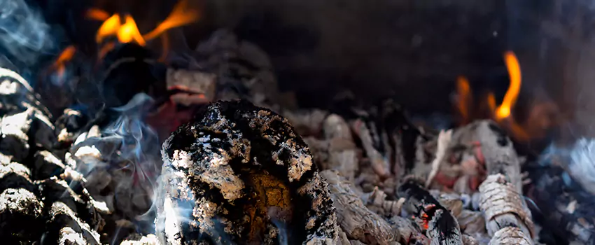 Creosote Removal Experts in Carbondale, IL