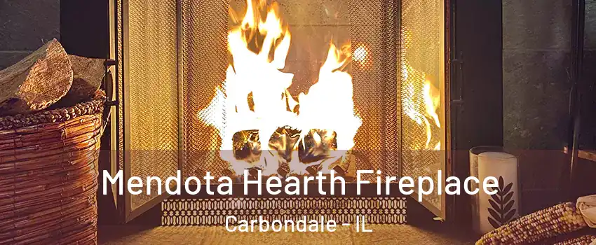  Mendota Hearth Fireplace Carbondale - IL