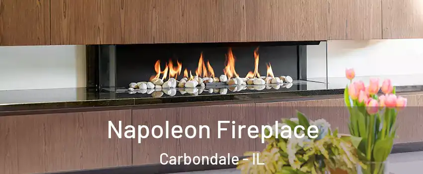  Napoleon Fireplace Carbondale - IL