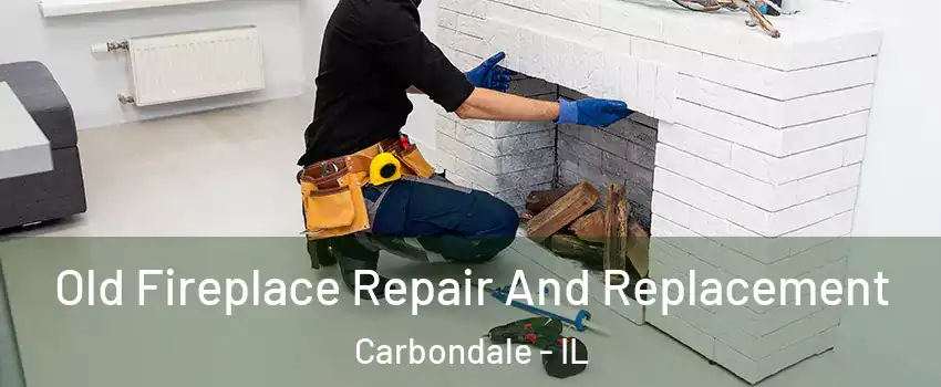  Old Fireplace Repair And Replacement Carbondale - IL