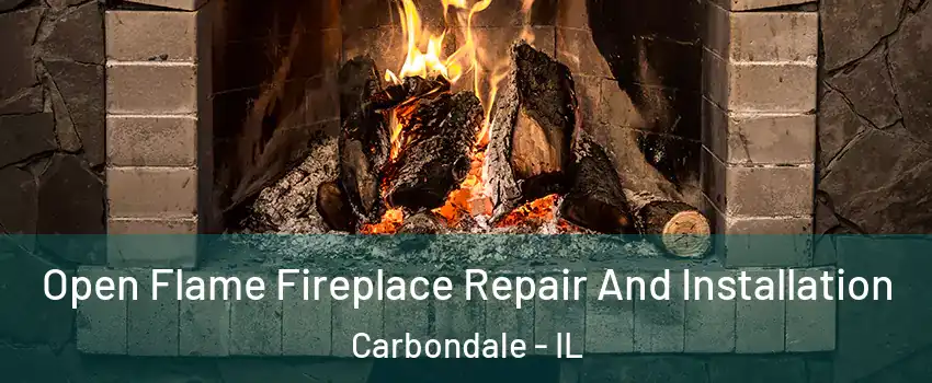  Open Flame Fireplace Repair And Installation Carbondale - IL