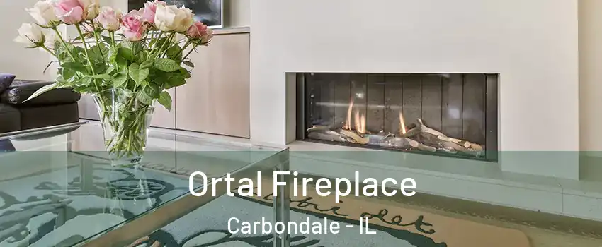  Ortal Fireplace Carbondale - IL