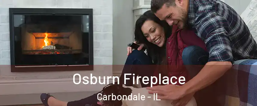  Osburn Fireplace Carbondale - IL