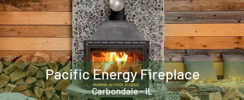  Pacific Energy Fireplace Carbondale - IL
