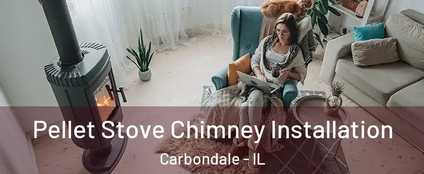  Pellet Stove Chimney Installation Carbondale - IL
