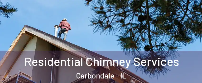  Residential Chimney Services Carbondale - IL
