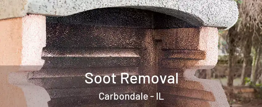  Soot Removal Carbondale - IL