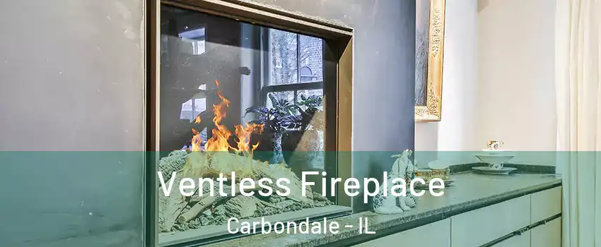  Ventless Fireplace Carbondale - IL